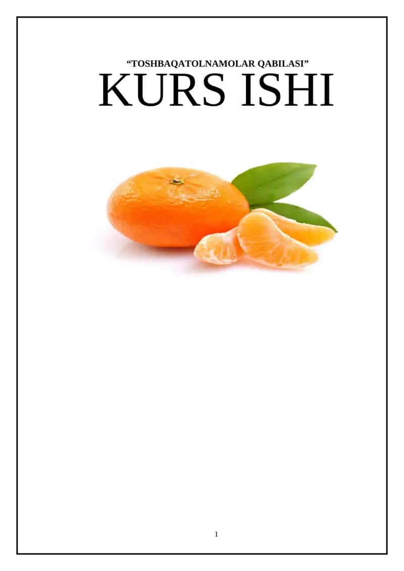 Toshbaqatolnamolar Qabilasi