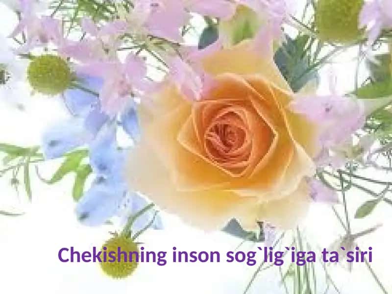 Chekishninginsonsog`lig`igata`siri