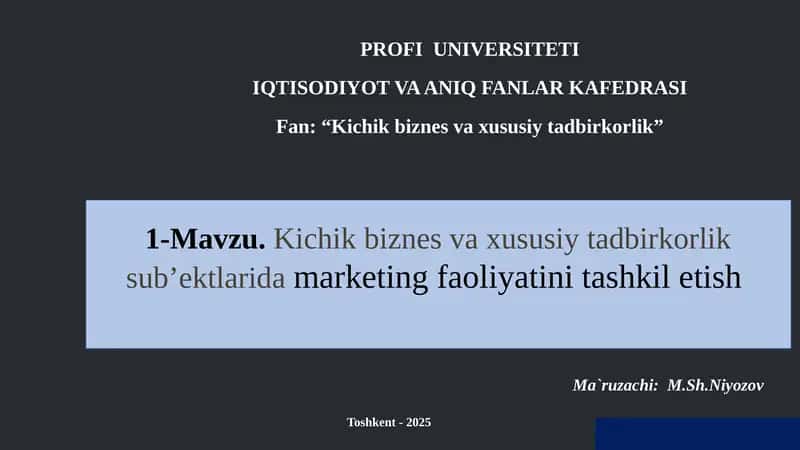 Kichikbiznes va xususiy tadbirkorlik