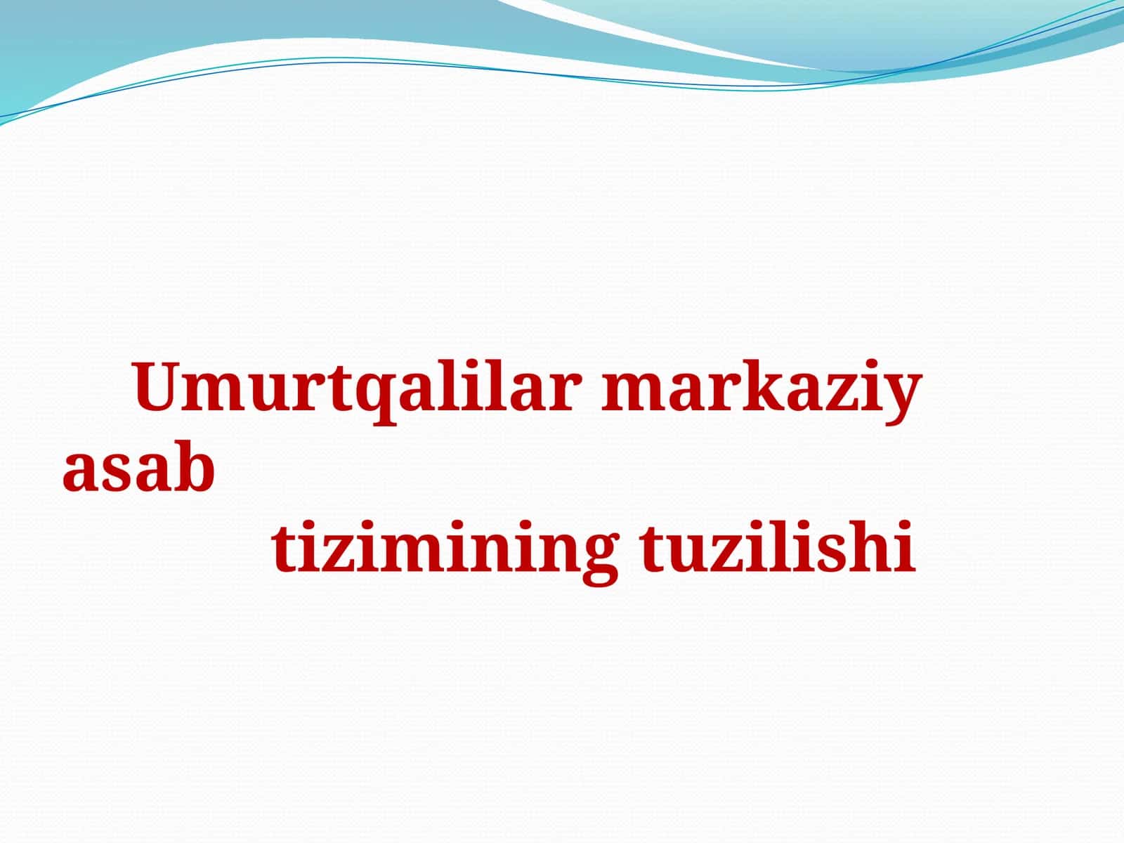 Umurtqalilarmarkaziyasabtiziminingtuzilishi