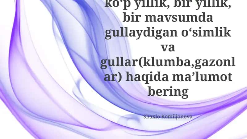 Mavsumiy Gulzor Dizayni