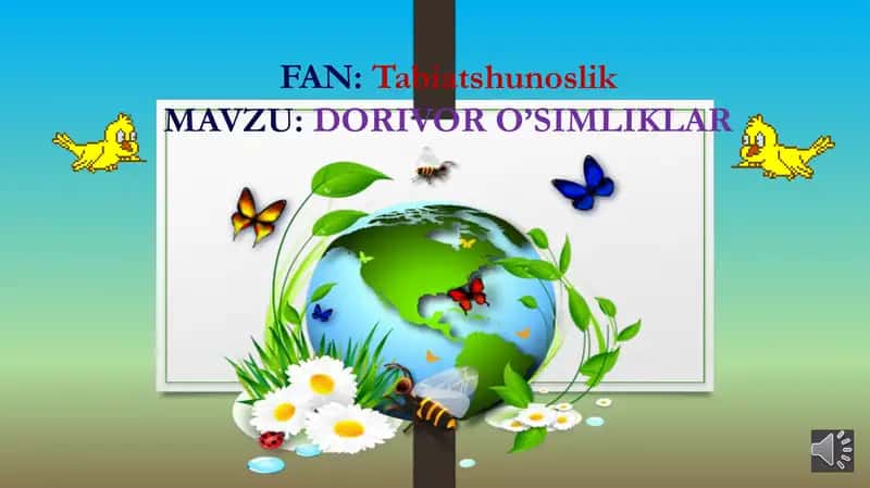 DORIVOR O’SIMLIKLAR