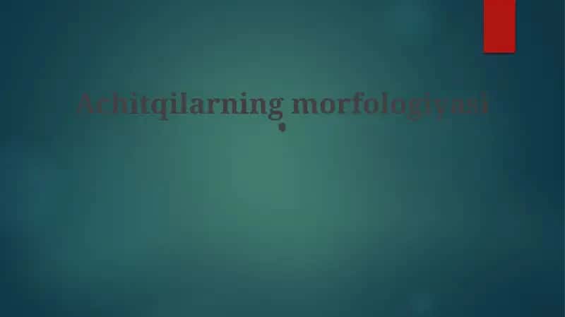 O'rgimchaklar morfologiyasi
