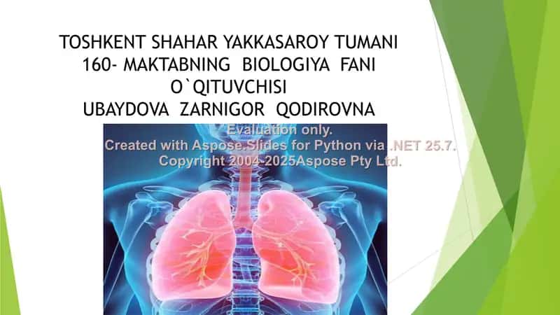 Nafas olish organlarining tuzilishi