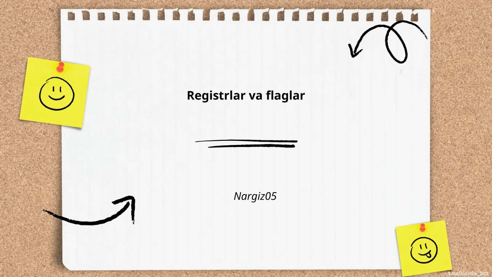 Registrlar va flaglar