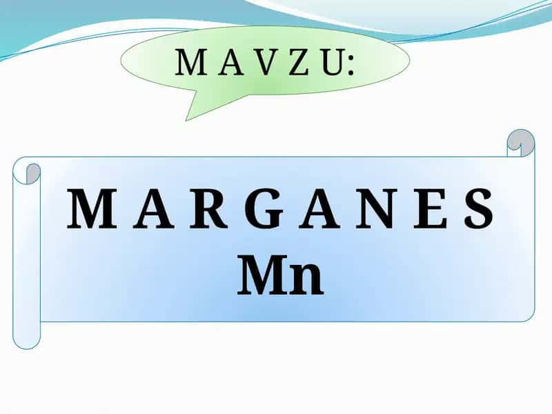 M A R G A N E S