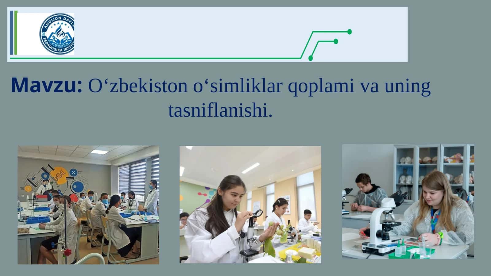 O‘zbekiston o‘simliklar qoplami va uning tasniflanishi