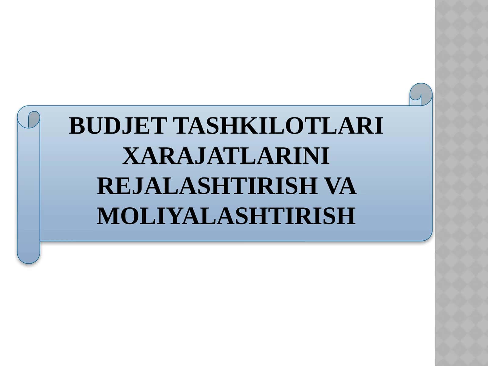 Budjet tashkilotlari xarajatlarini rejalashtirish va moliyalashtirish