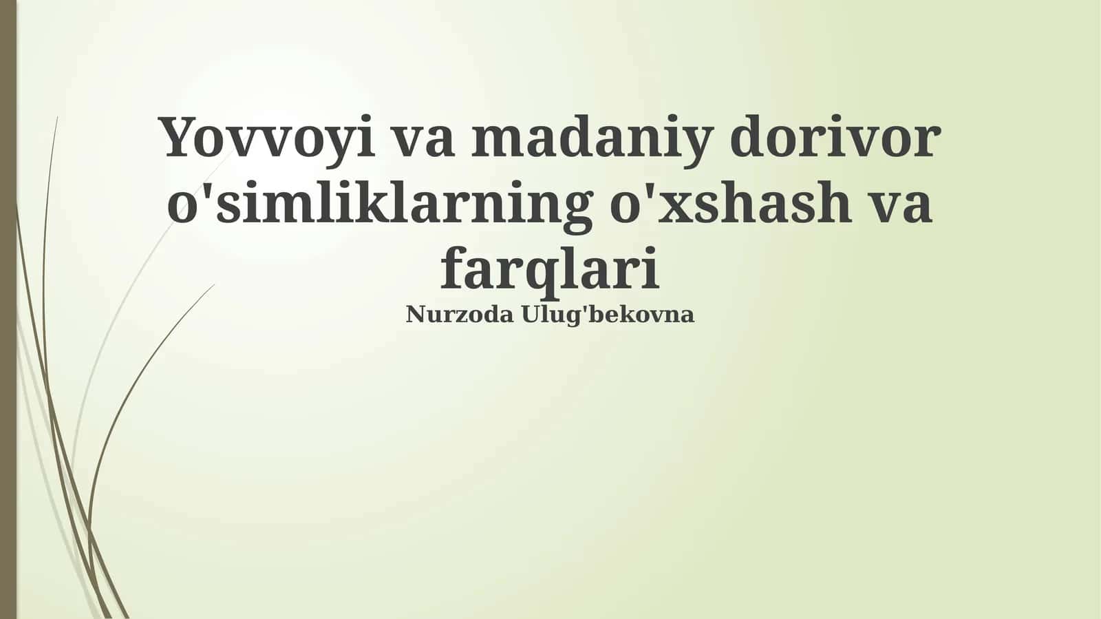 Yovvoyi va madaniy dorivor o'simliklarning o'xshash va farqlari