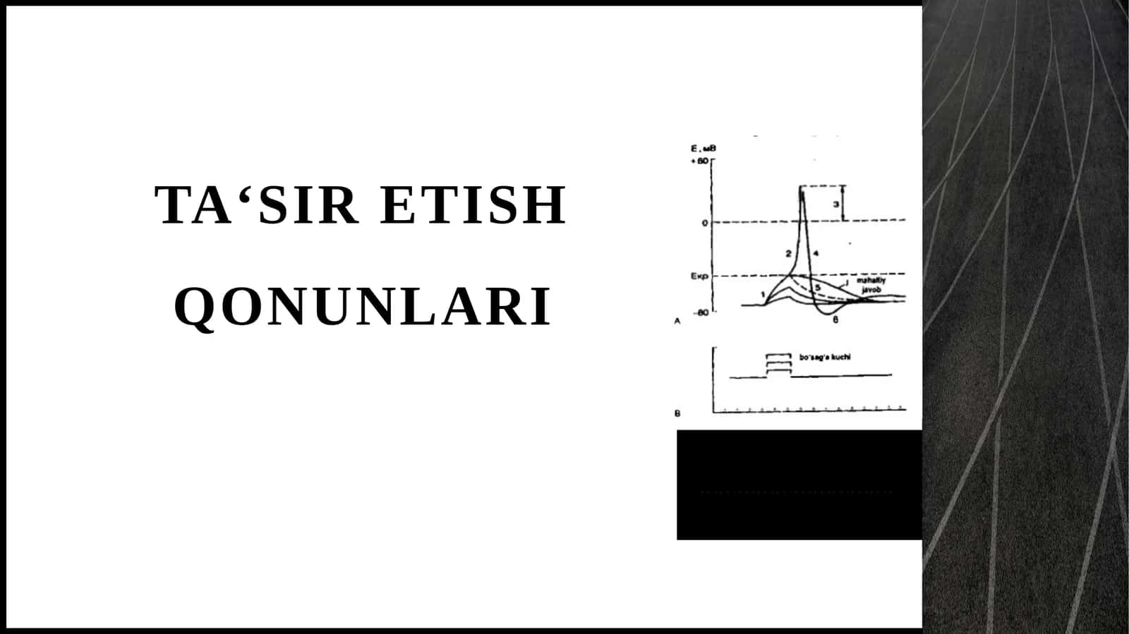 Ta‘siretishqonunlari
