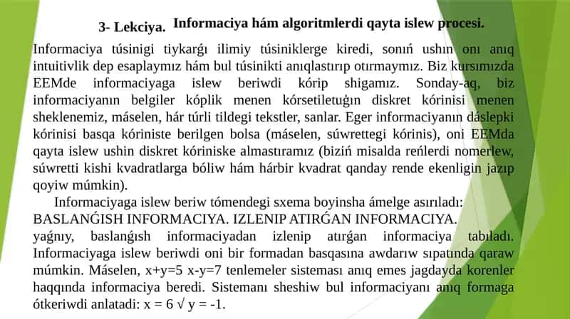 Informaciya hám algoritmlerdi qayta islew procesi