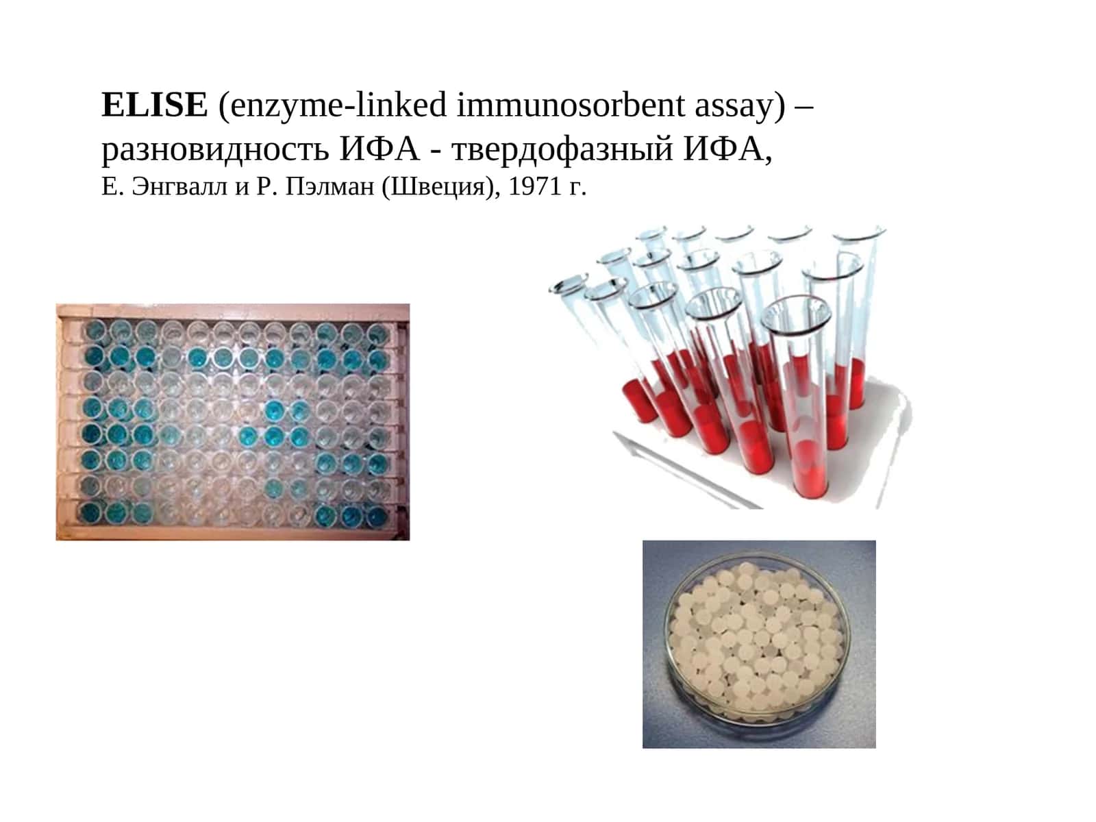 ELISE(enzyme-linked immunosorbent assay)