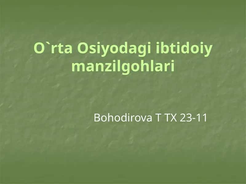 O`rta Osiyodagi Ibtidoiy Manzilgohlari