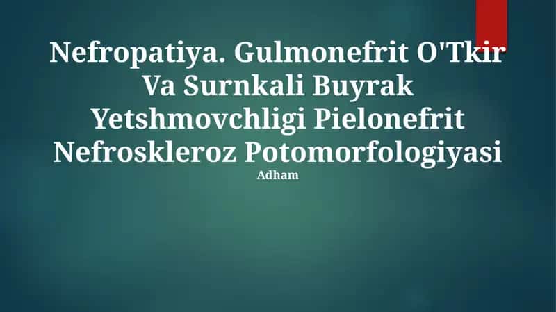 Nefropatiya. Gulmonefrit O'Tkir Va Surnkali Buyrak Yetshmovchligi Pielonefrit Nefroskleroz Potomorfologiyasi