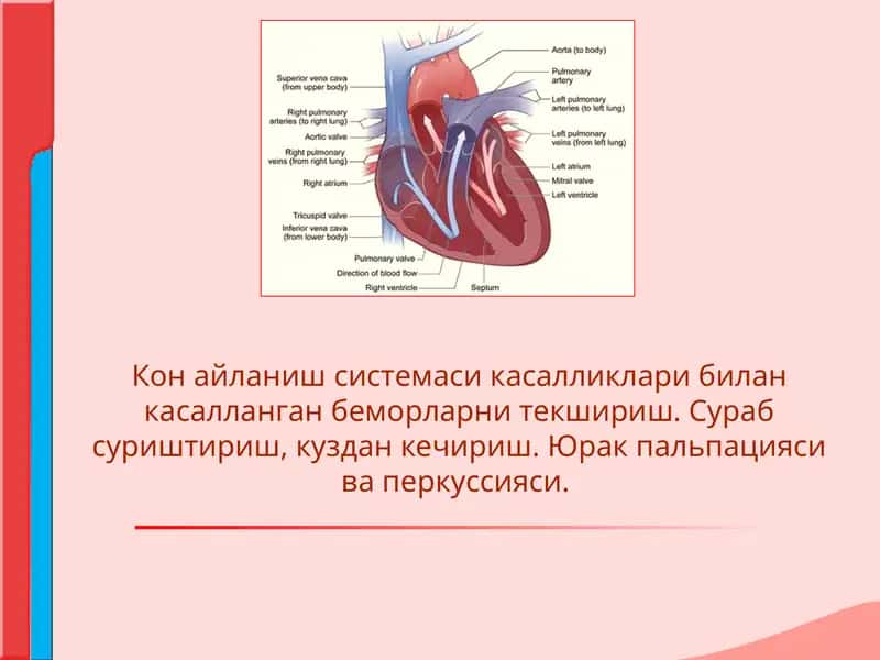 Кон айланиш системаси касалликлари билан касалланган беморларни текшириш