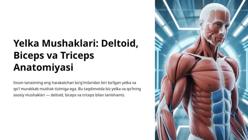 Yelka Mushaklari: Deltoid, Biceps va Triceps Anatomiyasi