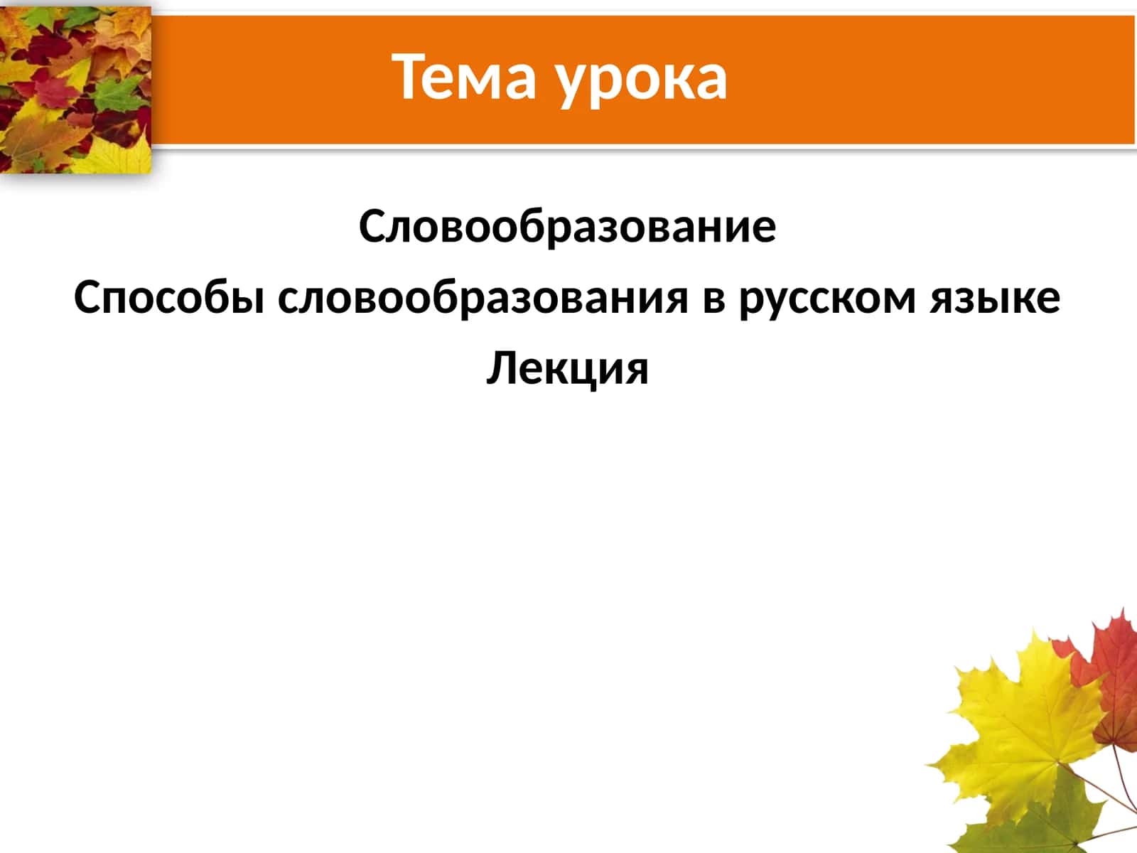 Словообразование