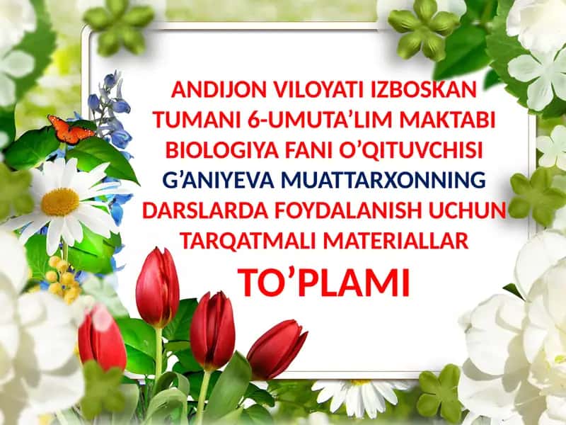 Uglevodlar va ularning tarkibi