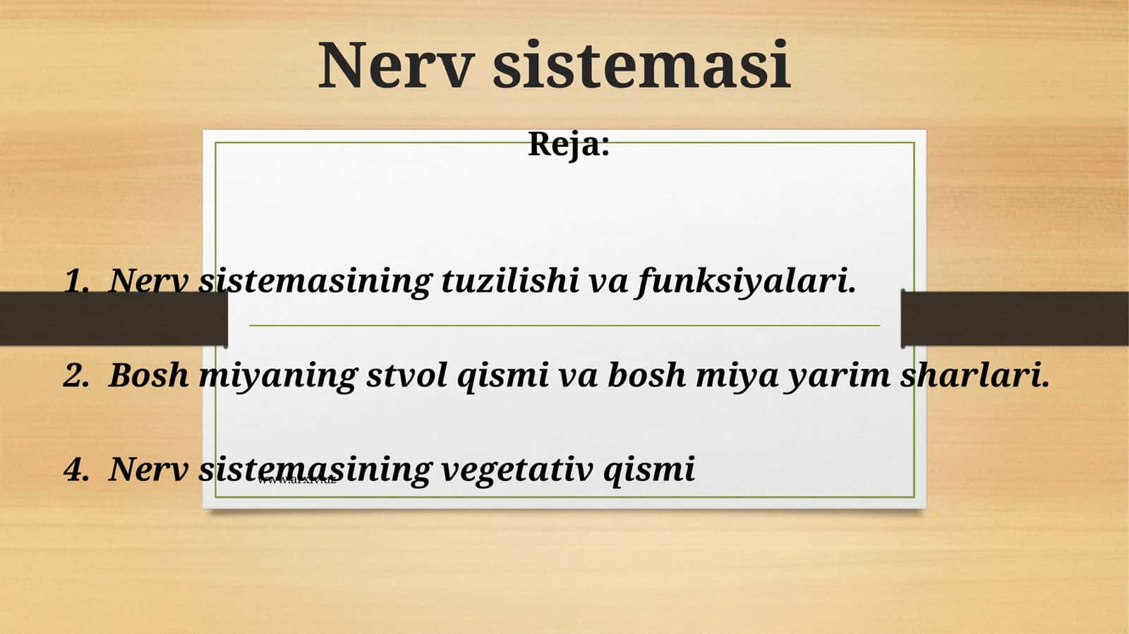 Nеrv sistеmаsi