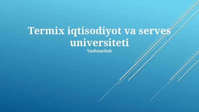 Termix Iqtisodiyot va Xizmatlar Universiteti