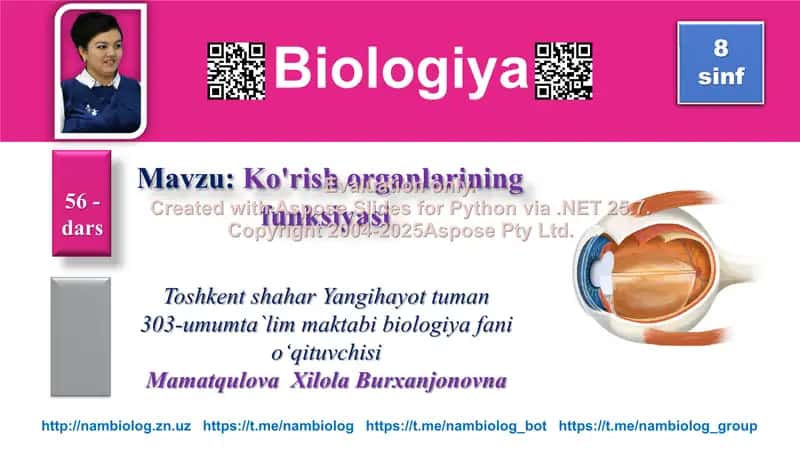 Ko'zning funksiyasi