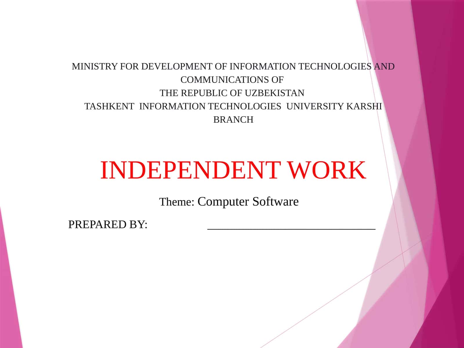 Computer Software