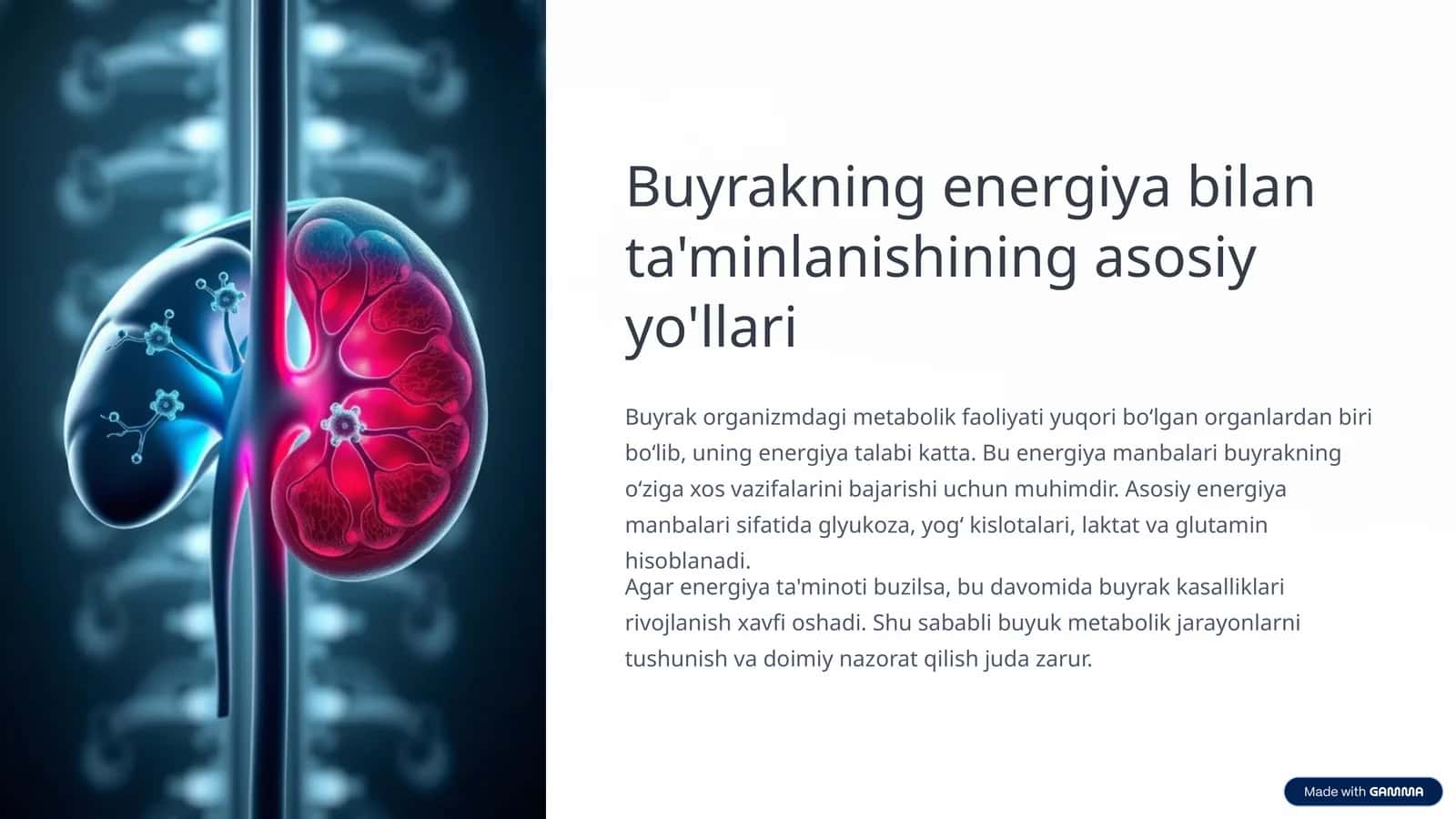 Buyrakning energiya bilan ta'minlanishining asosiy yo'llari