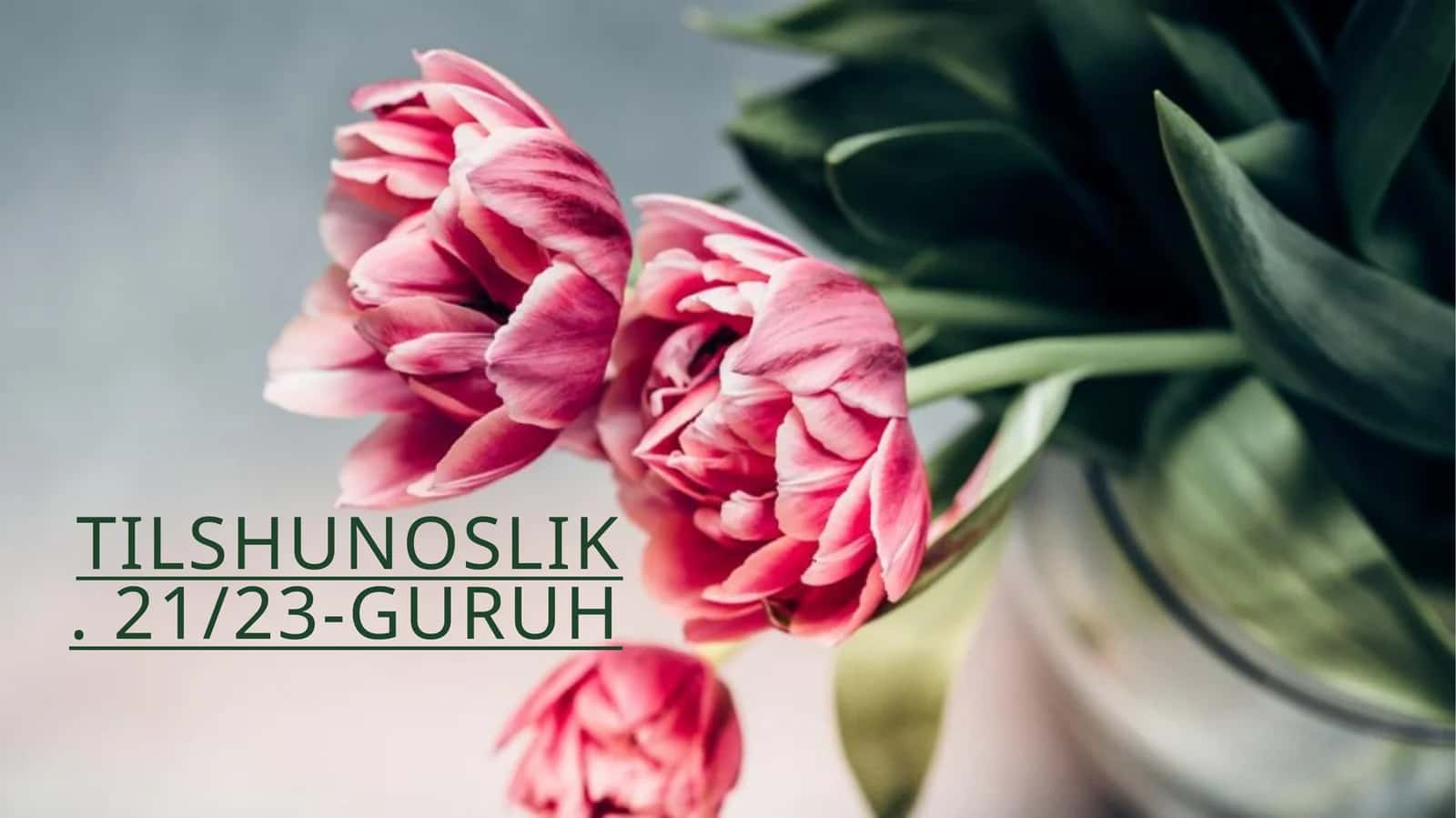 TILLARNITASNIFLASH: FUNKSIONAL, AREAL,TIPOLOGIK VAGENEALOGIKTASNIFLAR