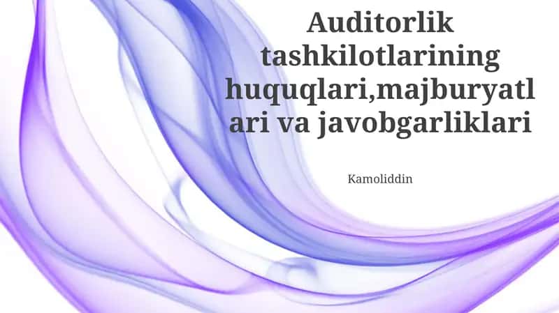 Audit Tashkilotlarining Huquqlari