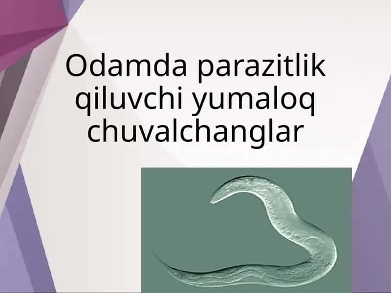 Odamda parazitlik qiluvchi yumaloq chuvalchanglar