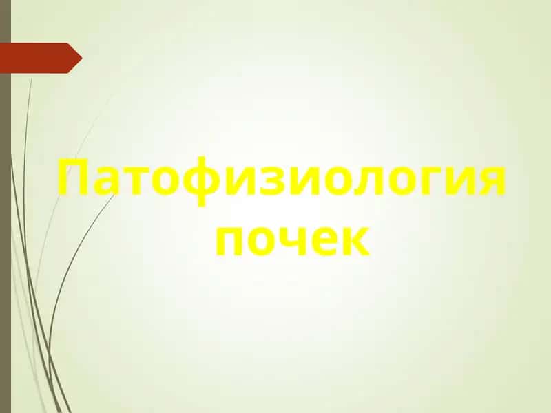 Патофизиология почек
