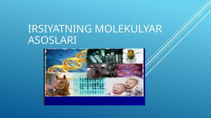 Irsiyatning molekulyar asoslari