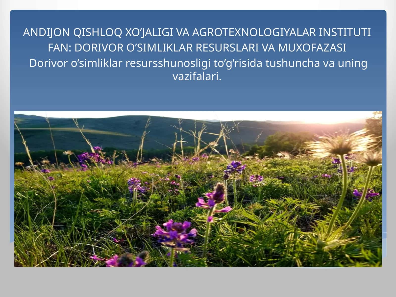 DORIVOR O’SIMLIKLAR RESURSLARI VA MUXOFAZASI
