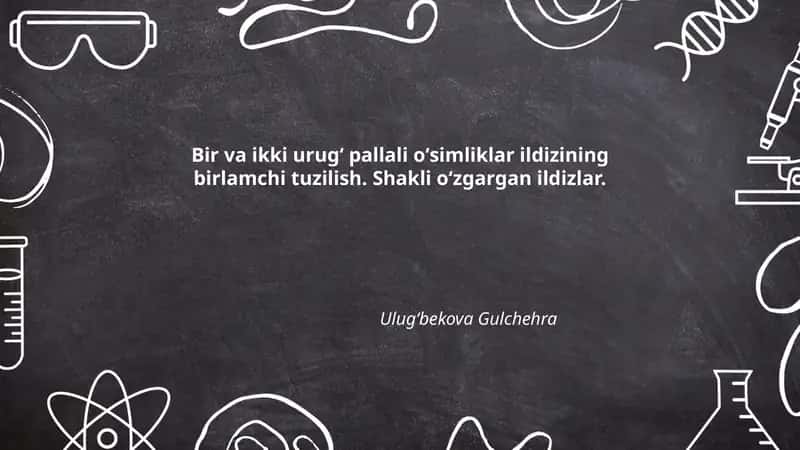 Bir va ikki urugʻ pallali oʻsimliklar ildizining birlamchi tuzilish
