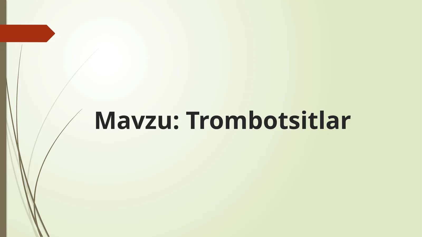 Trombotsitlar