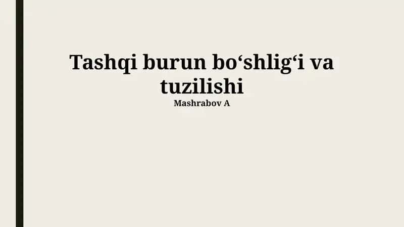 Burun Teshiklari (Nares)