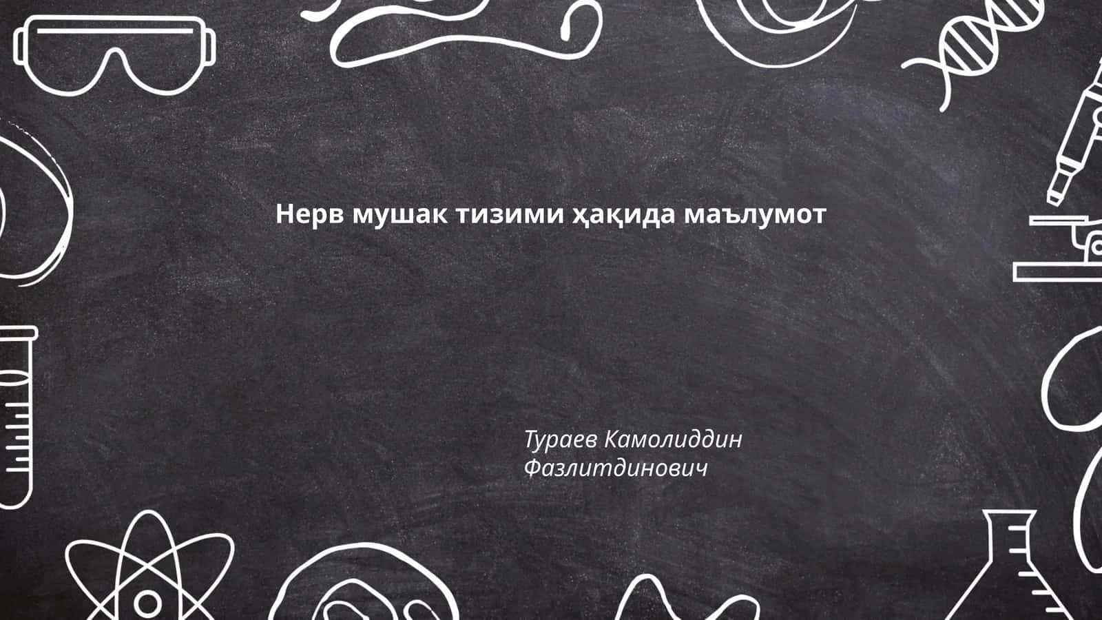 Нерв мушак тизими ҳақида маълумот