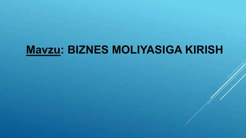 Biznes Moliyasi