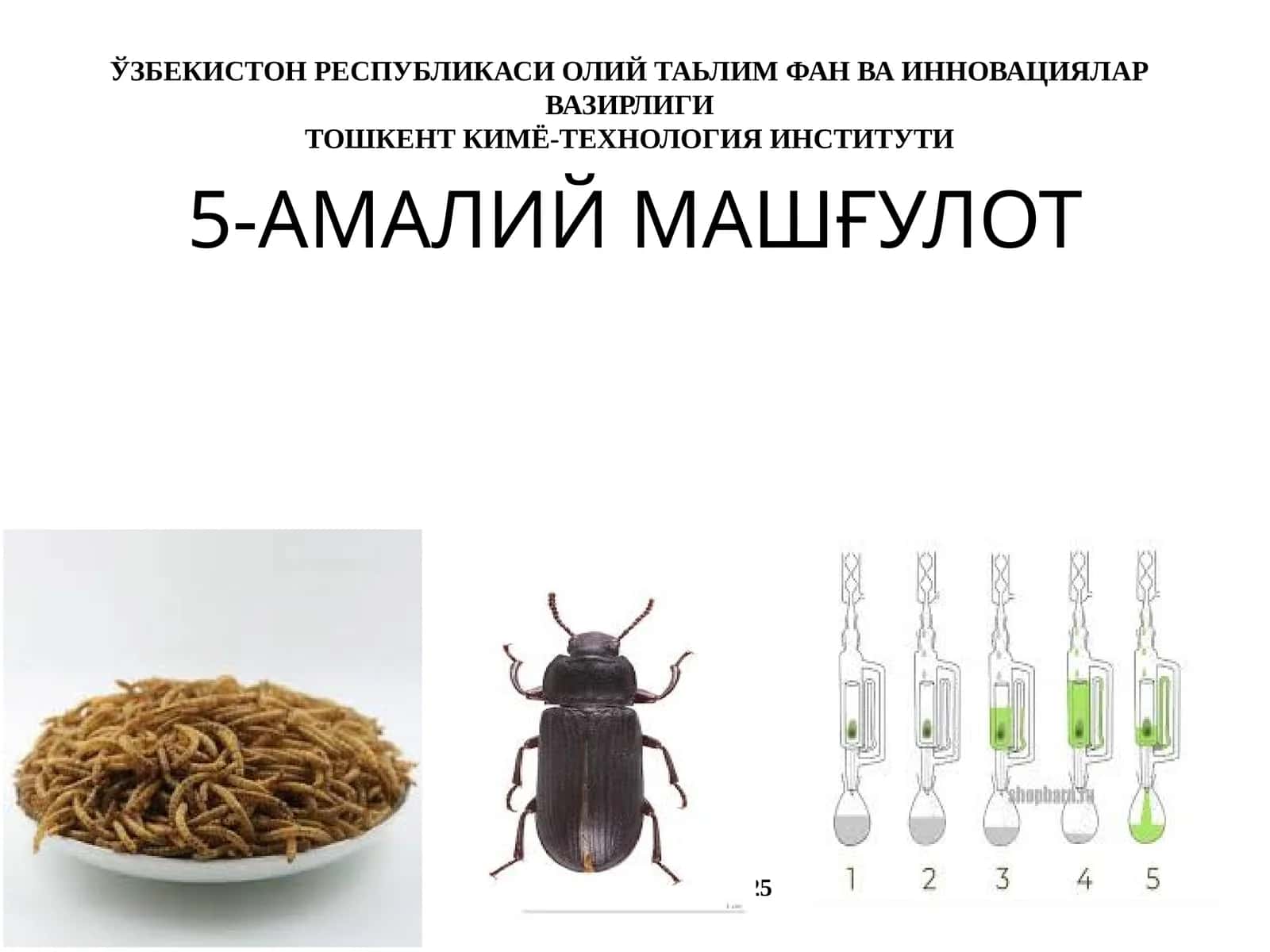 5-АМАЛИЙ МАШҒУЛОТ