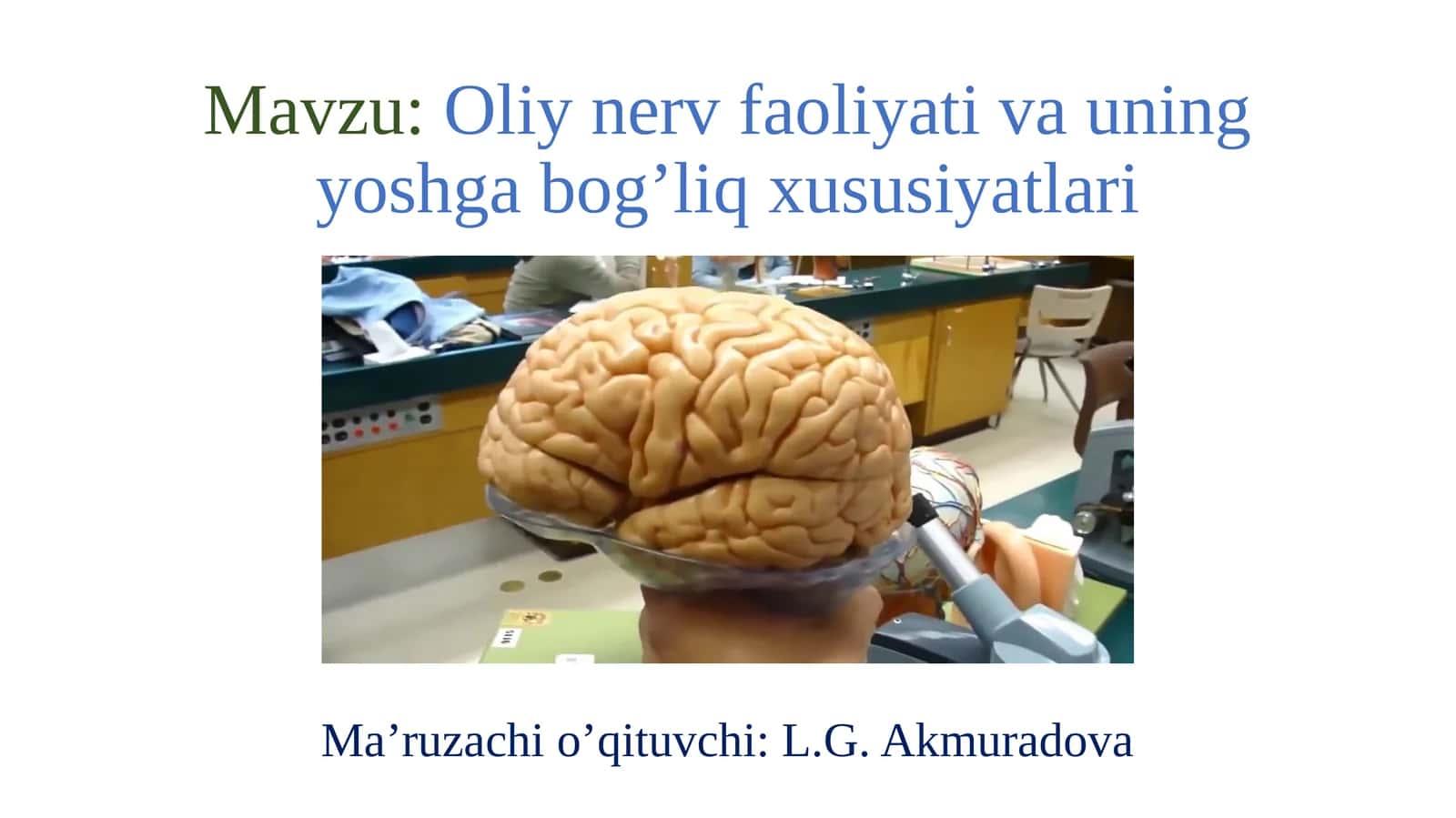 Oliy nerv faoliyati va uning yoshga bog’liq xususiyatlari