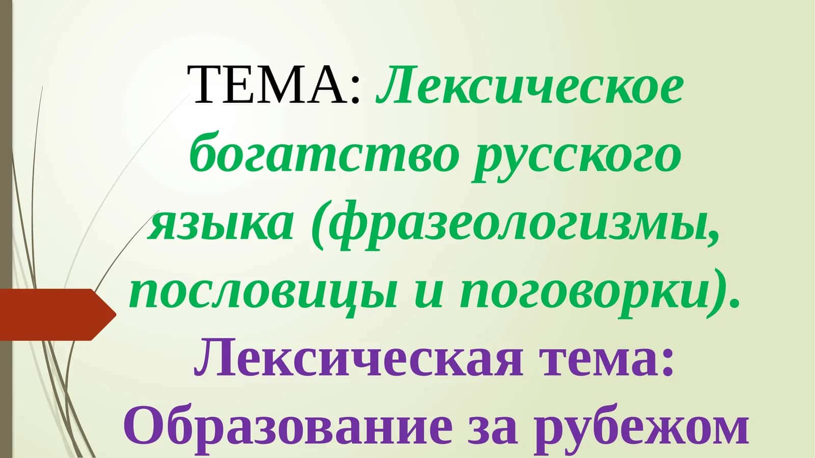 Лексическоебогатство русского языка (фразеологизмы, пословицы и поговорки)