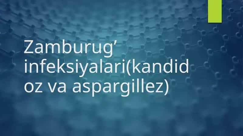 Zamburug' infeksiyalari(kandidoz va aspargillez)