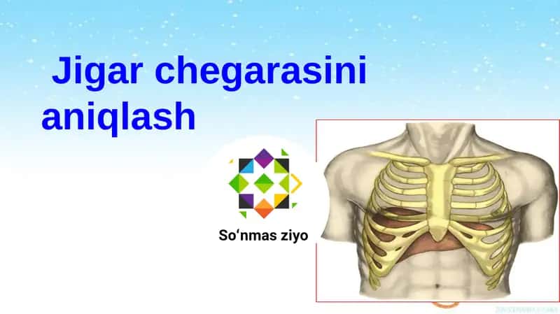 Jigar chegarasini aniqlash