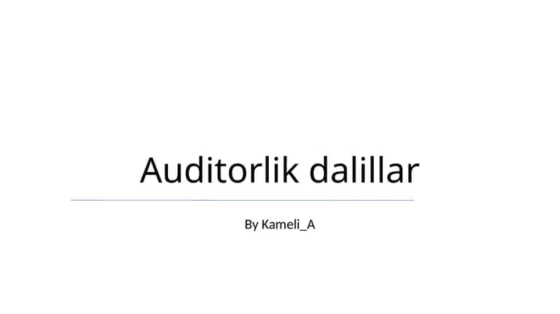Audit Dalillar