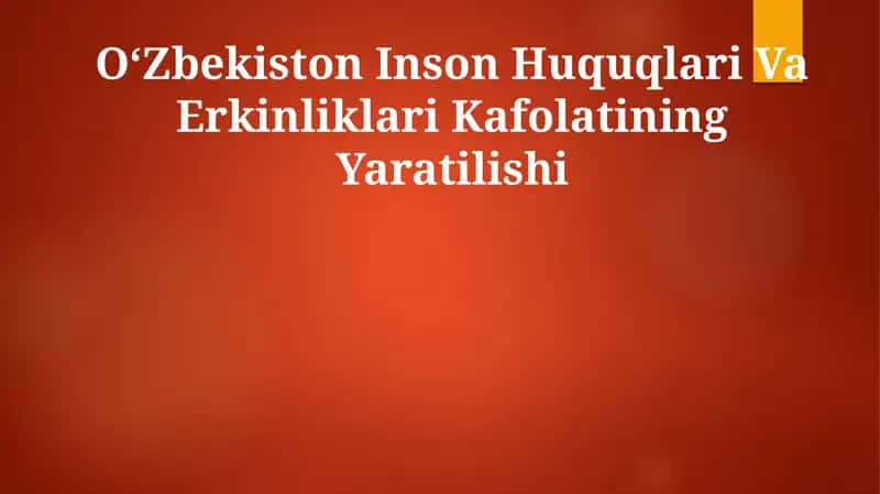 Oʻzbekiston Inson Huquqlari Va Erkinliklari Kafolatining Yaratilishi