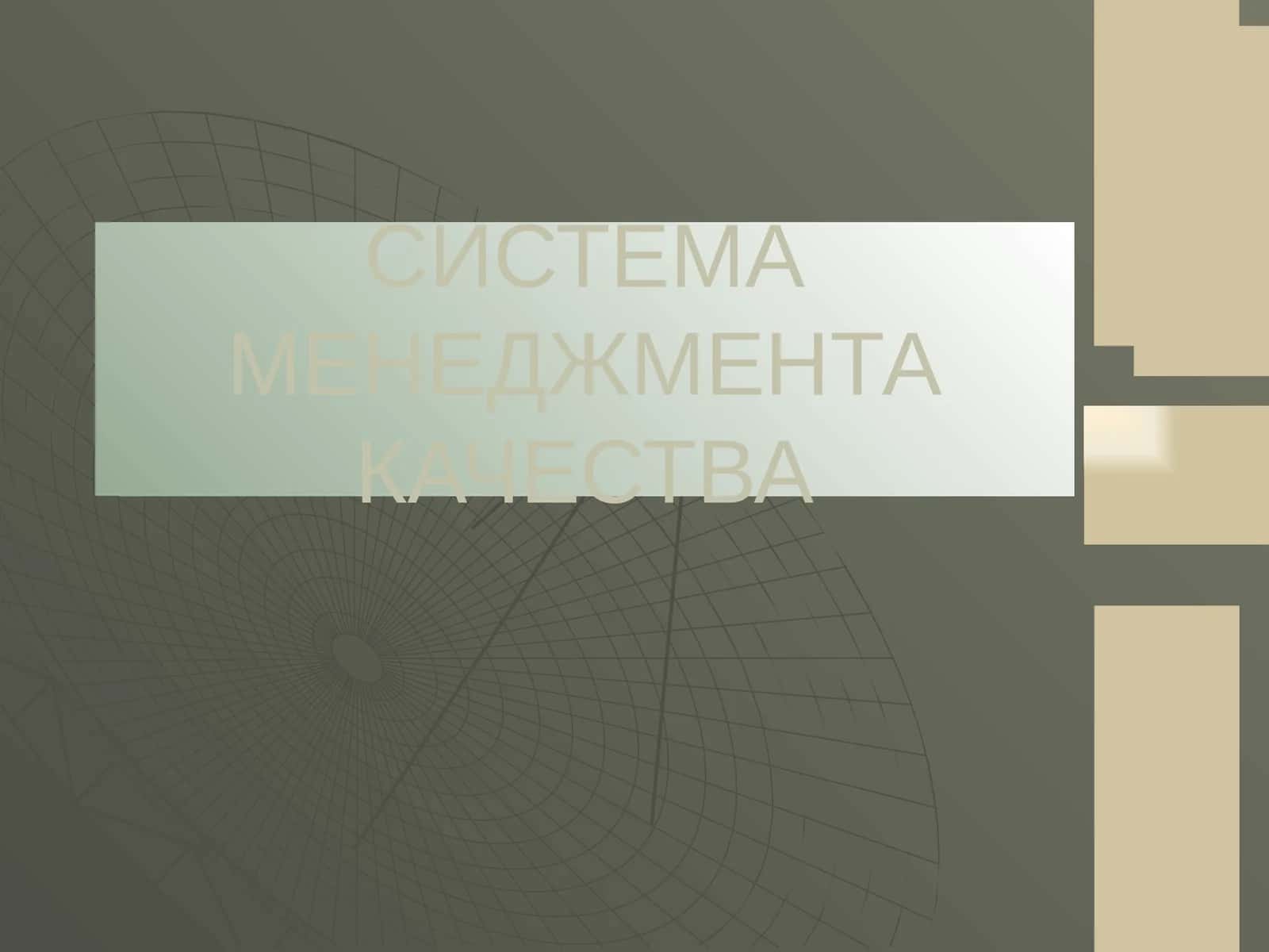 СИСТЕМА МЕНЕДЖМЕНТА КАЧЕСТВА