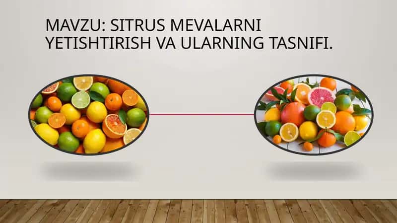 Sitrus mevalarni etishtirish vaularning tasnifi
