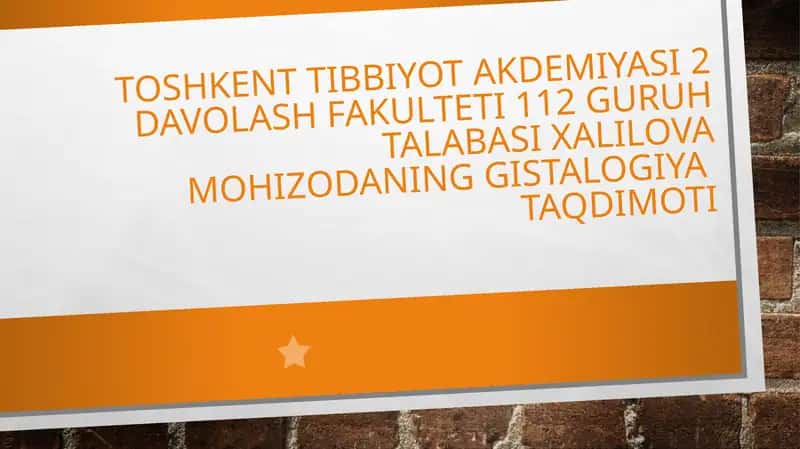 Yurak qontomirsistemasi