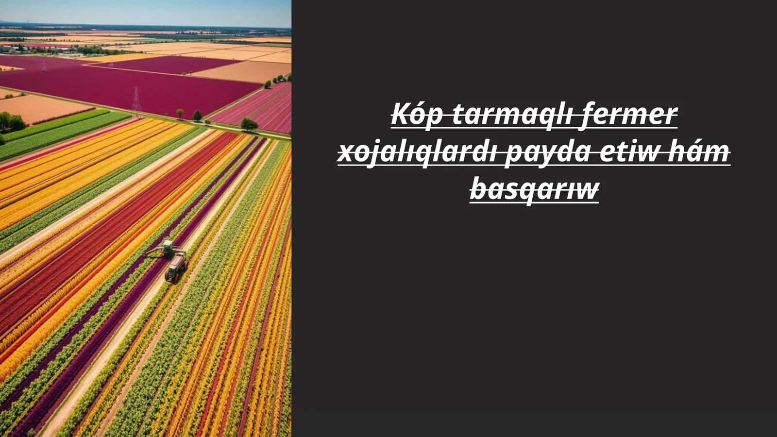 Kóp tarmaqlı fermer xojalıqlardı payda etiw hám basqarıw