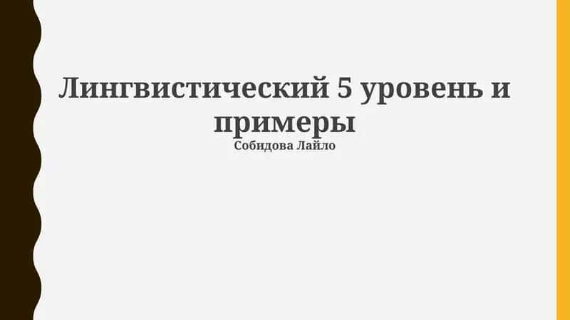 Лингвистический 5 уровень и примеры